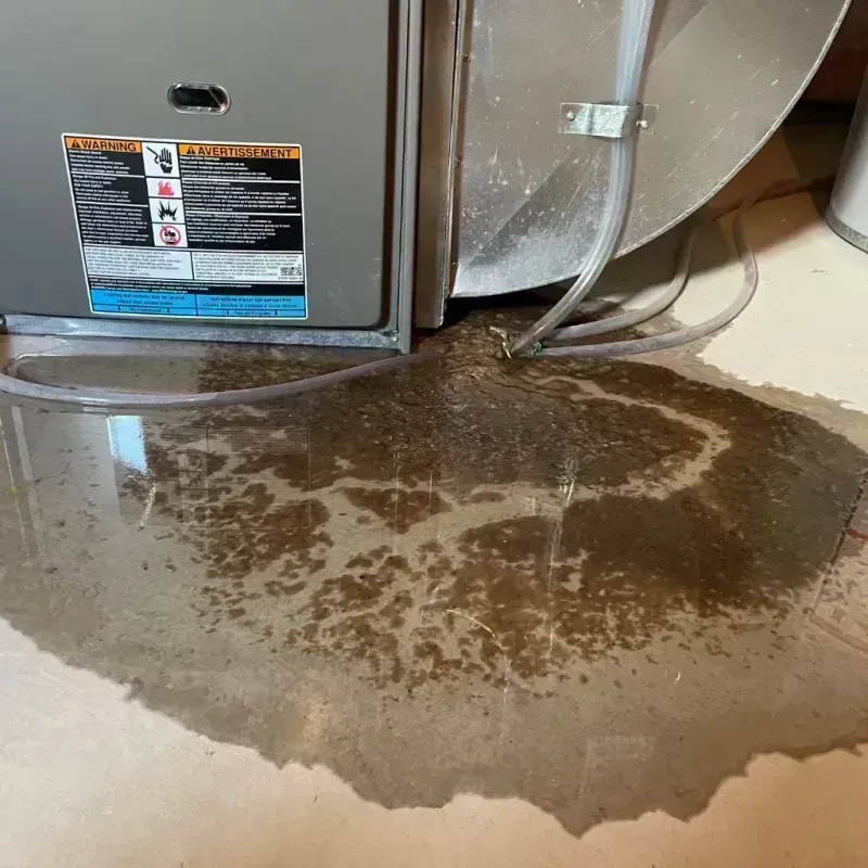 Appliance Leak Cleanup in Hickman, KY